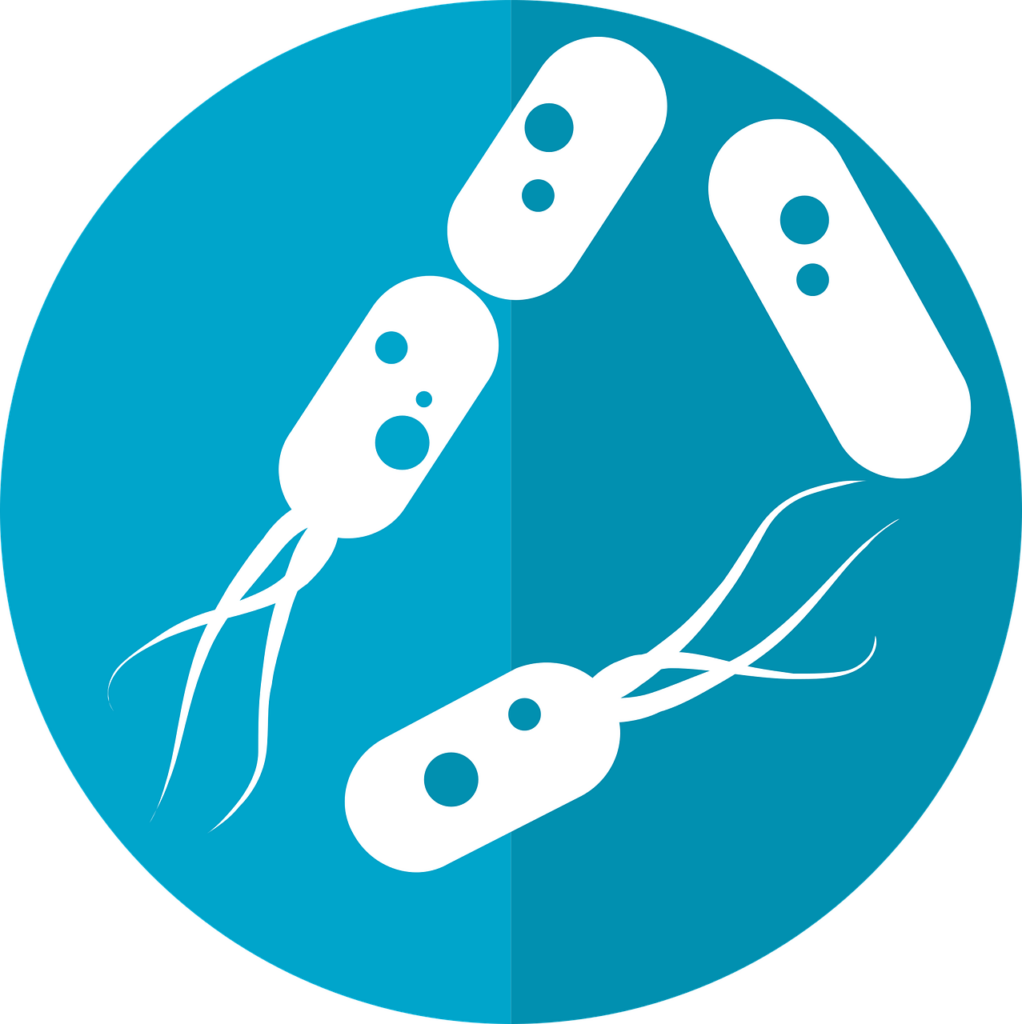 Calprotectin Colitis Ulcerosa